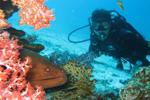 SNORKLING MNEMBA