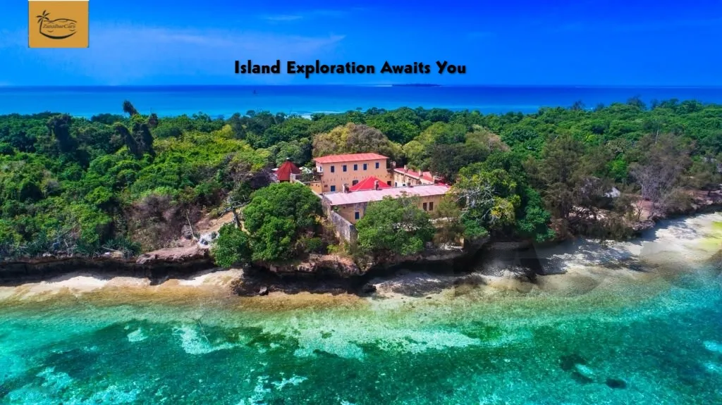 Planning A Trip To Prison Island In Tanzania With zanzibarcars