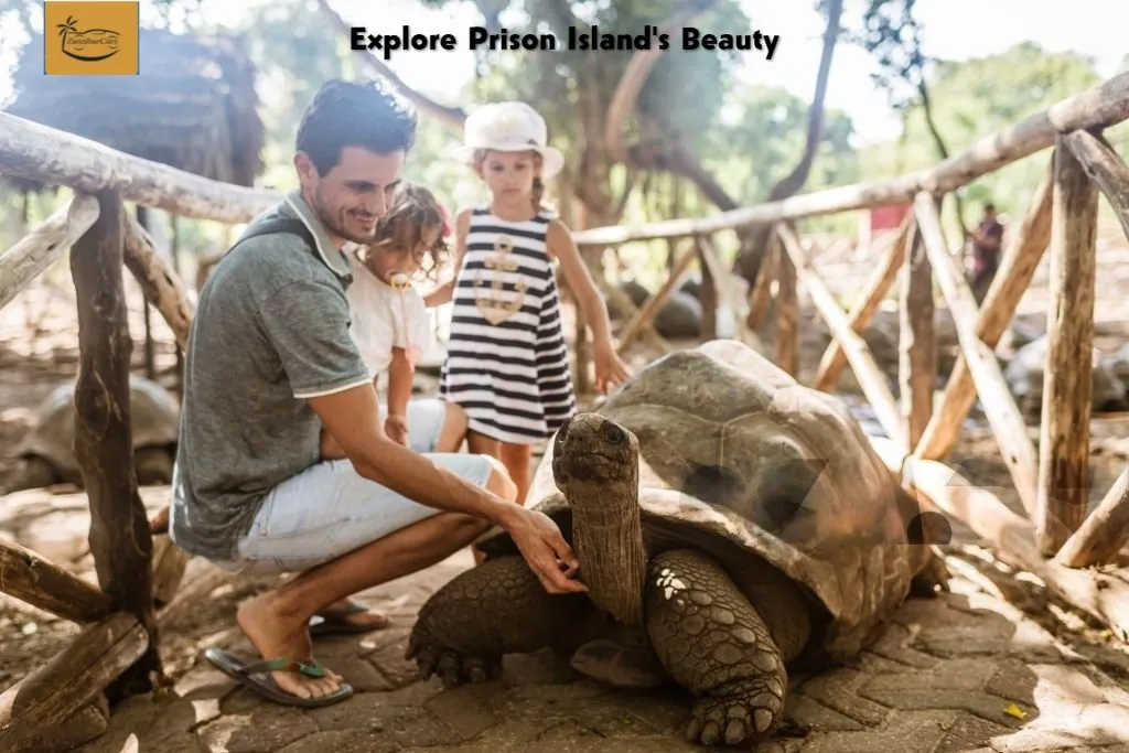 How Renting A Car Can Help You Get The Most Of Your Day On The Prison Island.